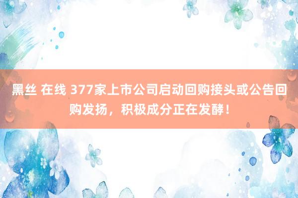 黑丝 在线 377家上市公司启动回购接头或公告回购发扬，积极成分正在发酵！