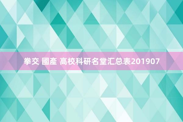 拳交 國產 高校科研名堂汇总表201907