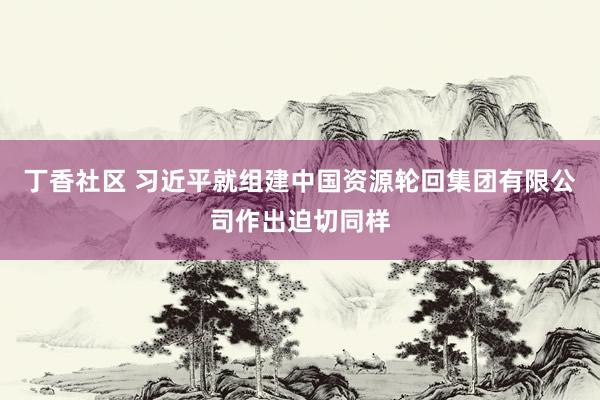 丁香社区 习近平就组建中国资源轮回集团有限公司作出迫切同样