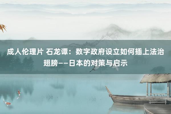 成人伦理片 石龙谭：数字政府设立如何插上法治翅膀——日本的对策与启示