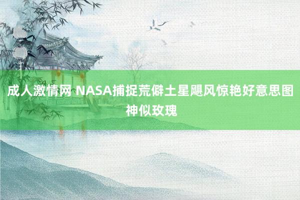 成人激情网 NASA捕捉荒僻土星飓风惊艳好意思图 神似玫瑰