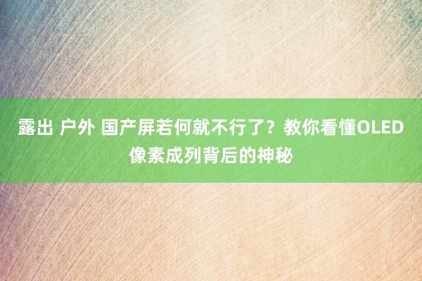 露出 户外 国产屏若何就不行了？教你看懂OLED像素成列背后的神秘