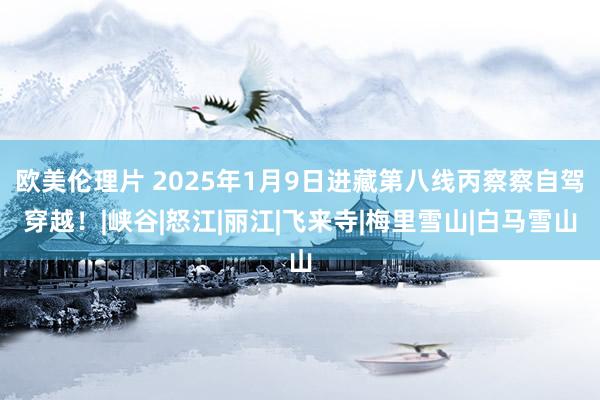 欧美伦理片 2025年1月9日进藏第八线丙察察自驾穿越！|峡谷|怒江|丽江|飞来寺|梅里雪山|白马雪山