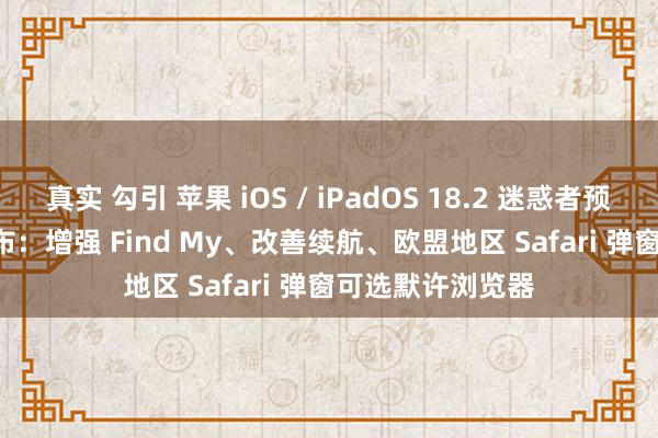 真实 勾引 苹果 iOS / iPadOS 18.2 迷惑者预览版 Beta 2 发布：增强 Find My、改善续航、欧盟地区 Safari 弹窗可选默许浏览器