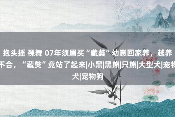 抱头摇 裸舞 07年须眉买“藏獒”幼崽回家养，越养越不合，“藏獒”竟站了起来|小黑|黑熊|只熊|大型犬|宠物狗