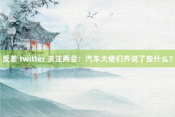 反差 twitter 关注两会：汽车大佬们齐说了些什么？