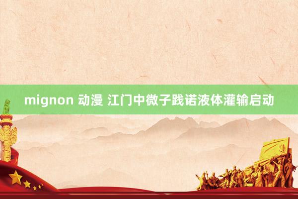 mignon 动漫 江门中微子践诺液体灌输启动