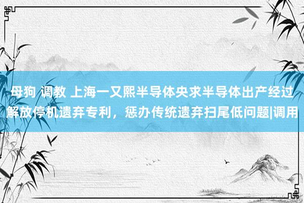 母狗 调教 上海一又熙半导体央求半导体出产经过解放停机遗弃专利，惩办传统遗弃扫尾低问题|调用